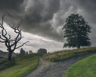 Irish Summer Rain