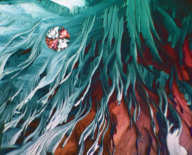 Copper Landscape.