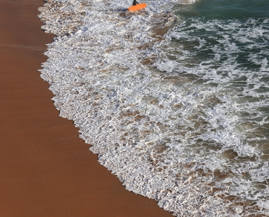 The orange board