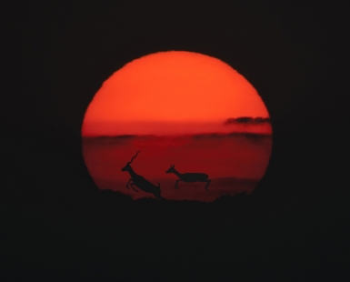 Towards the sun